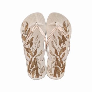 Beige Women's Ipanema Anatomic Nature IV Flip Flops | 1976032-HA