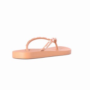 Brown Women's Ipanema Ana Lovely X Flip Flops | 3589764-CK