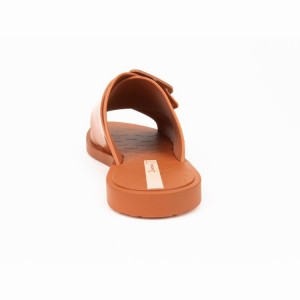 Brown Women's Ipanema Free Sandals | 0891247-YA