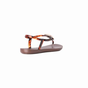 Brown / Gold Women's Ipanema Leaf Sandals | 6254783-WF