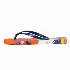 Orange / Blue Women's Ipanema I Love Sun Flip Flops | 9124576-HI