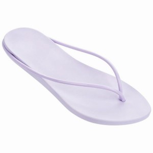 Purple Women's Ipanema Philippe Starck Thing M Flip Flops | 5320817-AK