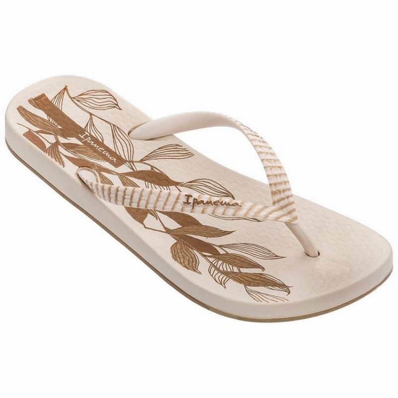 Beige Women's Ipanema Anatomic Nature IV Flip Flops | 1976032-HA