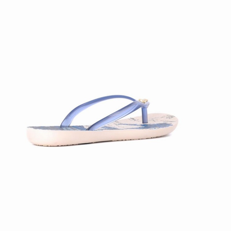 Beige / Blue Women\'s Ipanema Wave Natural Flip Flops | 0194357-WE