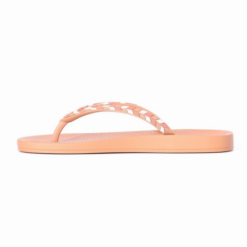 Brown Women's Ipanema Ana Lovely X Flip Flops | 3589764-CK