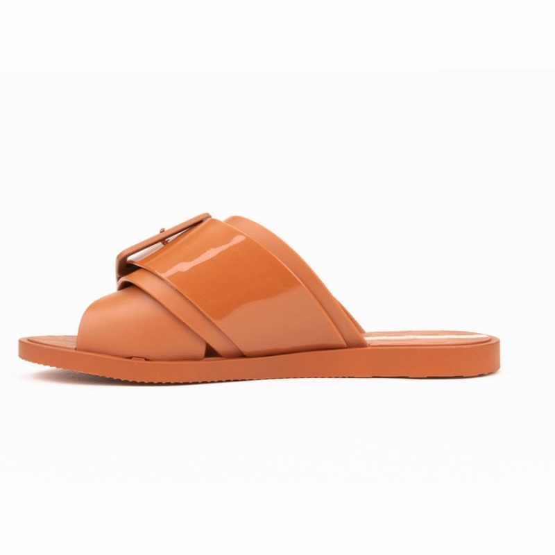 Brown Women's Ipanema Free Sandals | 0891247-YA