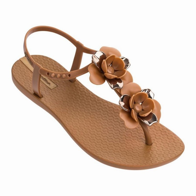 Brown / Gold Women's Ipanema Floret Sandals | 2710398-JR