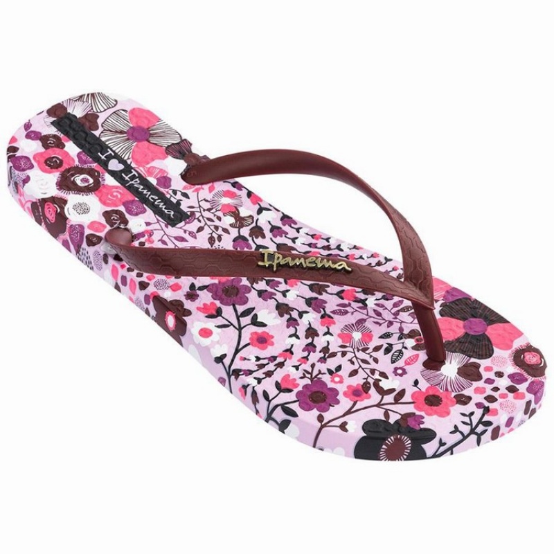 Purple / Burgundy Women's Ipanema Pop Flip Flops | 6094832-ER